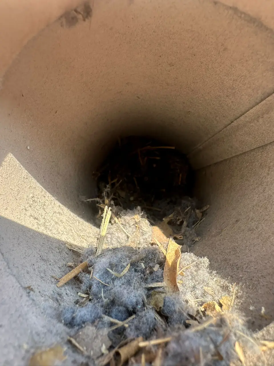 Bird nest and lint blocking a dryer vent pipe