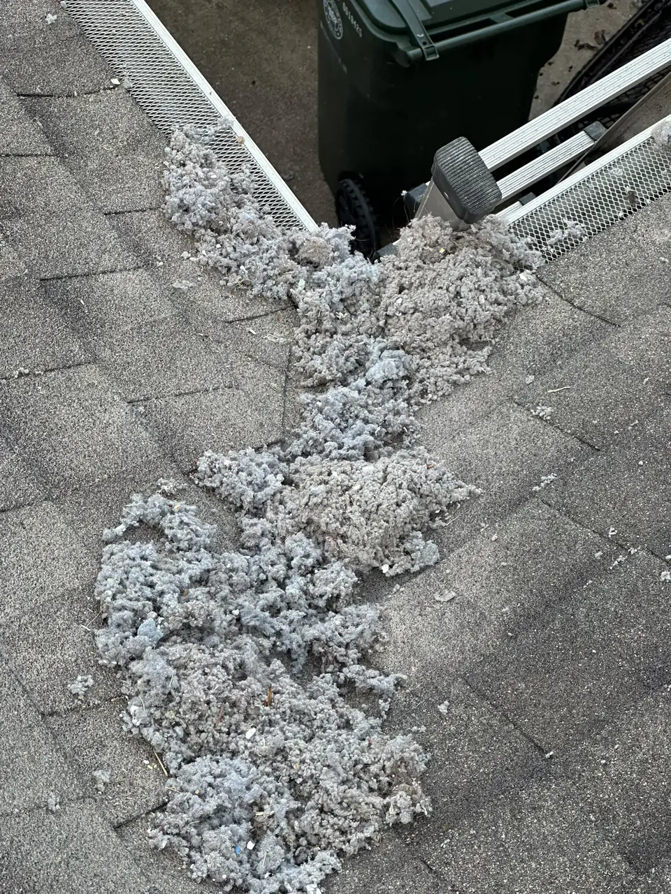 Lint blown out onto the roof during a dryer vent cleaning